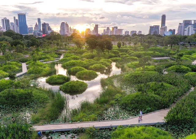 城市公园，塑造生物多样性 - 主图