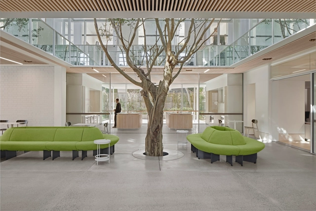 Campbel House Offices / Tonkin Zulaikha Greer Architects - Interior Photography, Adaptive Reuse
