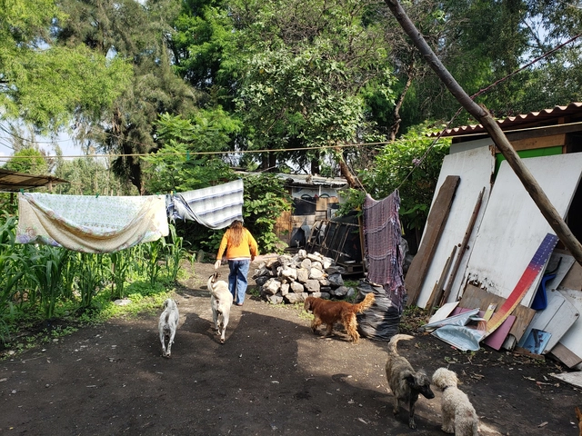 País sin techo: el futuro de la vivienda en México - Imagen Principal