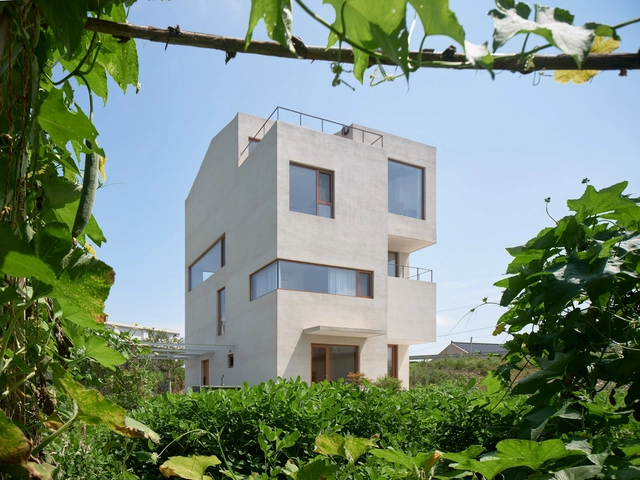 启东彭宅 / 立木设计研究室 - 建筑图, 独立住宅, 表皮