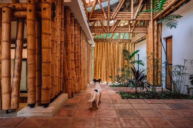Bamboo in Latin American Housing: 10 Houses Revealing the Future of the Material in Architecture - Featured Image