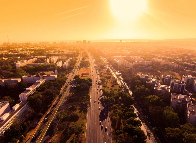 Árvores funcionam como ar-condicionado natural e podem reduzir em até 3ºC a temperatura das cidades - Imagem de Destaque