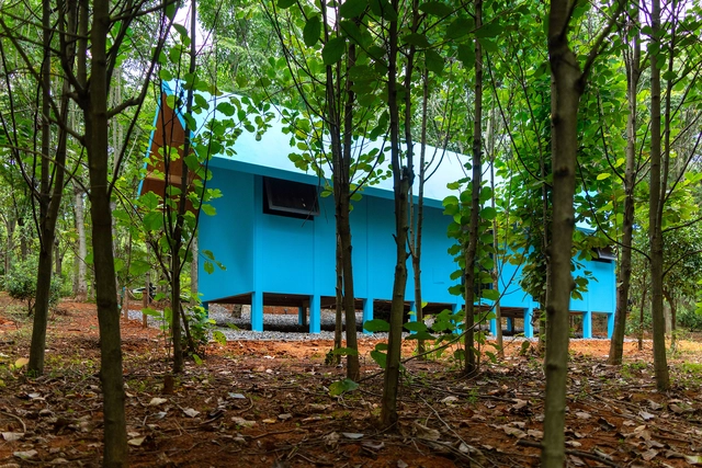 La cabaña del artista / Wiki World + Advanced Architecture Lab  - Fotografía exterior, Casas, Puerta, Bosque