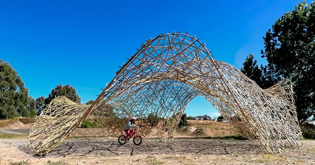 BASE studio revela las capacidades constructivas, estructurales y estéticas del colihue - Imagen Principal