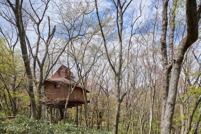 Cabaña en el volcán / Hiroshi Nakamura & NAP - Fotografía exterior, Casas, Bosque
