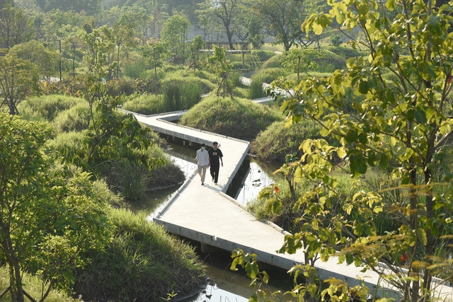 如何理解并应用建筑中的再野生化？ - 主图