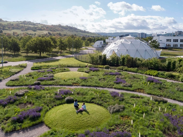 Jardín Vitra Oudolf / Piet Oudolf - Fotografía exterior, Paisaje, Jardín