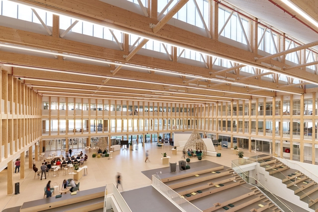 From Tradition to Innovation: How Modern Technologies are Transforming the Potential of Wood - Featured Image