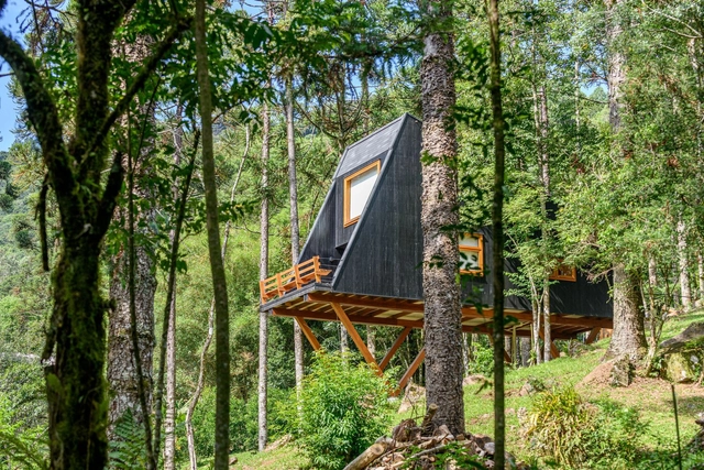 Casa Árbol / Íntegra Studio Arquitetura - Fotografia de Exterior, Casas, Floresta
