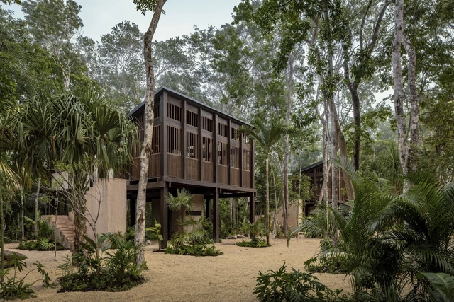 Hotel Boca de Agua / Taller Frida Escobedo - Fotografia de Exterior, Hotéis, Fachada, Floresta