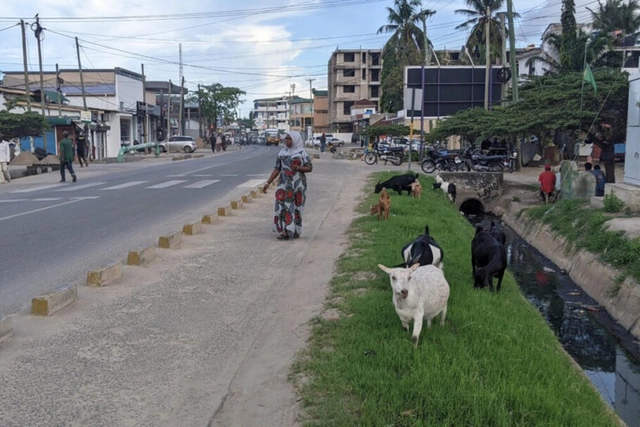 Tanzânia: o urbanismo agrário da África - Imagem de Destaque