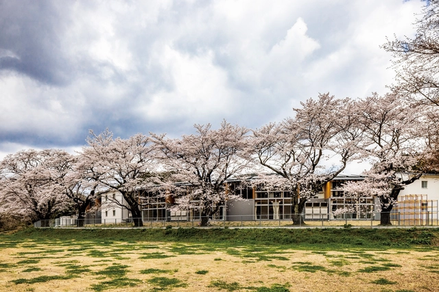 日立市立中里小中学 / 三上建筑事务所 - 建筑图, 高中, 花园