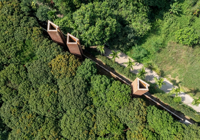 Museo Đạo Mẫu / ARB Architects - Fotografía exterior, Museos Y Espacios De Exhibición, Bosque