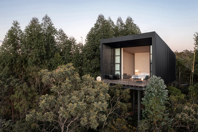 Casa Monóculo / Alan Chu - Fotografía exterior, Casas, Fachada, Bosque