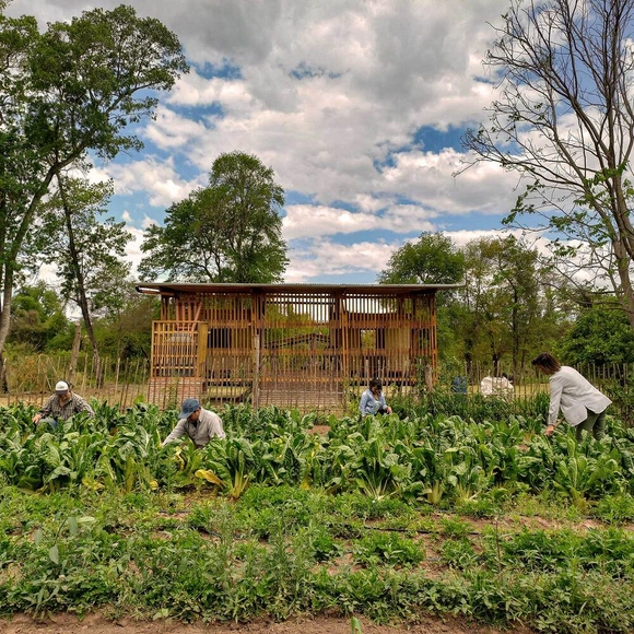 Community Added Value Center / CIMBRA - Exterior Photography, Sustainability, Garden, Forest