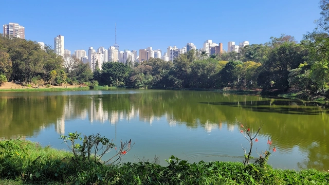 Viva o Verde SP: ONU-Habitat e SVMA iniciam avaliação dos parques de São Paulo  - Imagem de Destaque