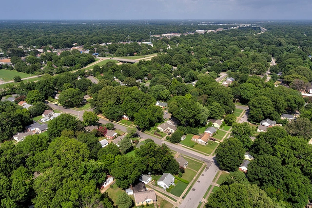 O verde insustentável do subúrbio americano - Imagem de Destaque