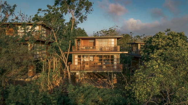 Resort Treehouse Villa / Stilt Studios - Fotografia de Exterior, Sustentabilidade, Fachada, Floresta