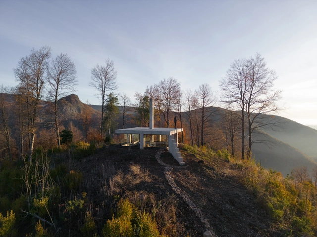 Pabellón ROSA / Pezo von Ellrichshausen - Fotografía exterior, Instalaciones Y Estructuras, Bosque