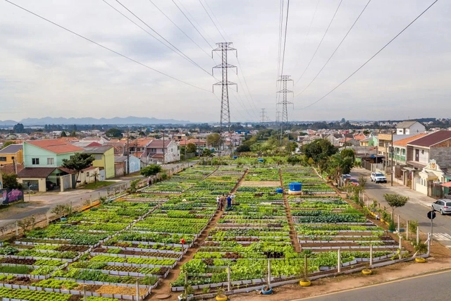 Curitiba é selecionada como cidade-modelo em projeto da ONU - Imagem de Destaque