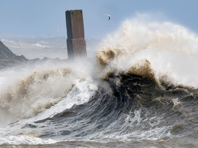 Rising Seas and Storm Surges: Climate Change and the Future of Coastal Heritage - Featured Image