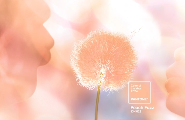 Pantone Reveals Peach Fuzz as Color of the Year 2024 - Featured Image