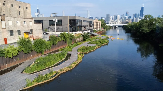 Jardins flutuantes estão transformando o rio Chicago - Imagem de Destaque