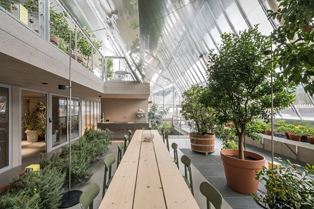 Neurogastronomia aplicada à arquitetura em prol do envelhecimento humano - Imagem de Destaque