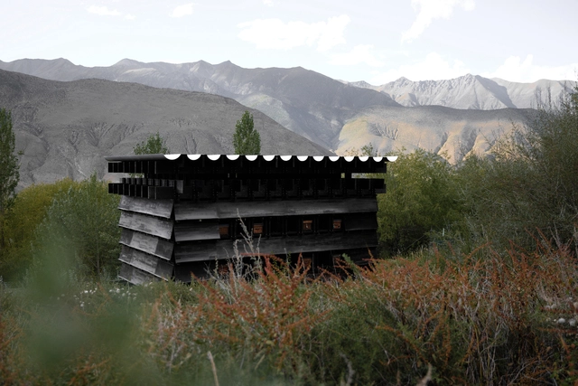 Cabana de Observação Shannan Beehive / OMNO lab - Fotografia de Exterior, Arquitetura Cultural, Floresta