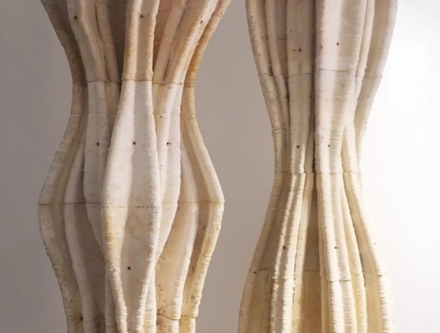 Diseño entre especies: hacia el desarrollo de materiales que permitan el crecimiento y la habitabilidad de especies no humanas - Imagen Principal