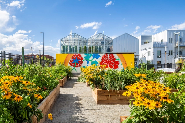 Revitalizando bairros com agricultura urbana nos Estados Unidos - Imagem de Destaque