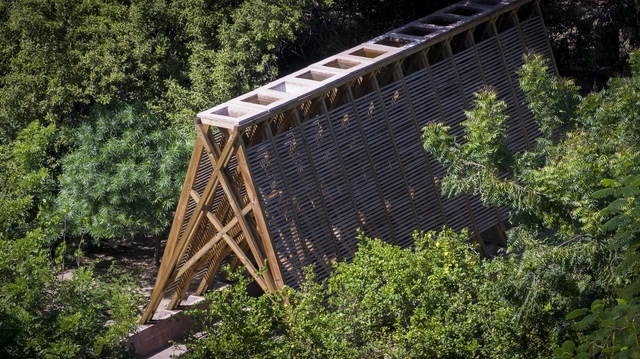 Pabellón de las Orquídeas / CCA Centro de Colaboración Arquitectónica - Fotografía exterior, Pabellón, Bosque