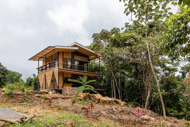 Casa del Árbol / Entre Nos Atelier - Fotografía exterior, Casas, Fachada, Bosque
