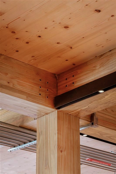 Desafíos y soluciones constructivas en Mass Timber: el caso de la tienda Dengo - Imagen Principal