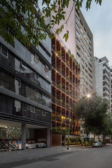Ana Polanco 公寓式酒店 / Local de Arquitectura - 建筑图, 酒店, 表皮