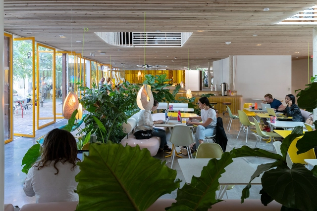 Design inclusivo e regenerativo: projetando ambientes para idosos e neurodiversos - Imagem de Destaque