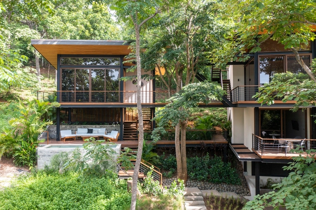Casa en el árbol / Casalvolone Arquitectura - Casas