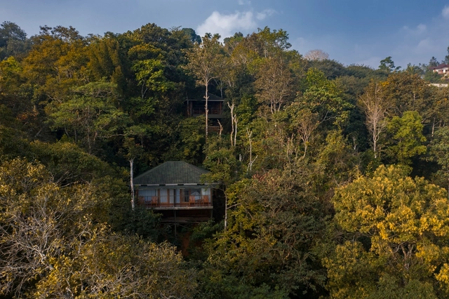 Chembarathi Boutique Resort / Satkriya - Exterior Photography, Cabins & Lodges, Forest