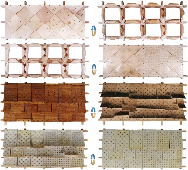 Una nueva generación de edificios vivos que utilizan materiales hidromórficos - Imagen Principal