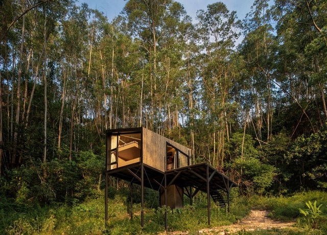 Altar Ninho / Natureza Urbana - Arquitetura Residencial