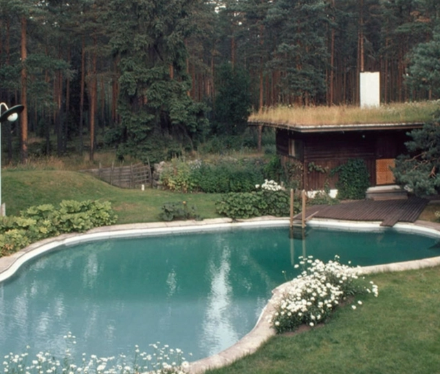 The Pool – The Origin of Pool Skateboarding - Featured Image