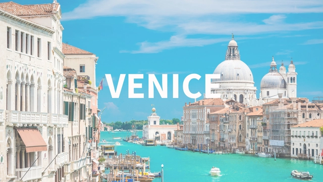 Venice: Editor's Spotlight - Featured Image