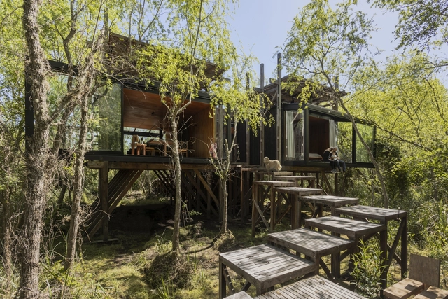 Dragon-fly House / Barbara Berson + Horacio Sardin - Exterior Photography, Houses, Forest