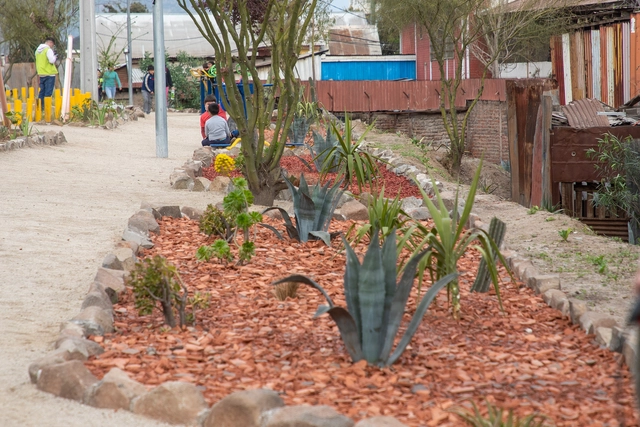 Gravilla de ladrillo: un nuevo material para crear jardines de bajo consumo hídrico - Imagen Principal