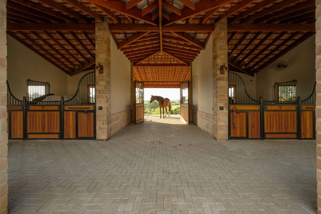 Haras VM Dressage Stables / Per Cavalli Arquitetura - Interior Photography, Animal Shelter, Beam, Arch, Facade, Door