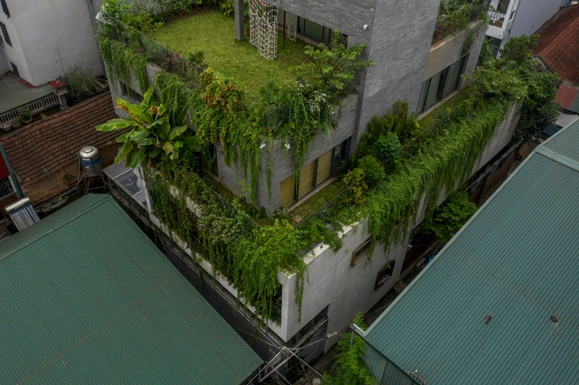 Dinh House Village / H2 - Houses
