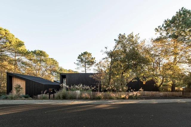 House in the Trees / OECO Architectes - Exterior Photography, Houses