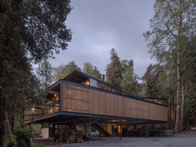 Casa Roble Huacho / Hebra Arquitectos - Fotografía exterior, Casas, Fachada, Bosque
