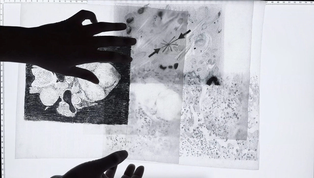 Harvard Graduate School of Design Awards Thandi Loewenson Wheelwright Prize 2024 - Featured Image