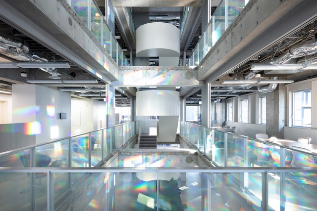 JINS Holdings Tokyo Head Office / Fumiko Takahama Architects - Offices Interiors